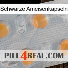 Black Ant Capsules 24